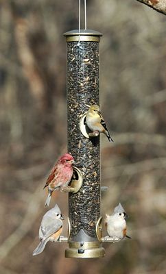 Seed Tube Large Antique Brass Quick Clean Base