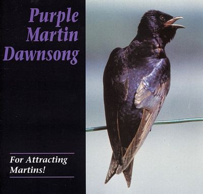 Dawn Song CD  Purple Martin Attractors