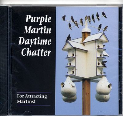 Day Time Chatter CD