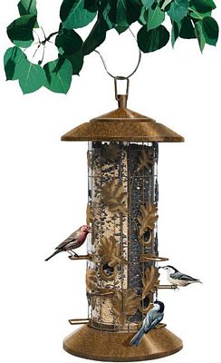 Squirrel-Be-Gone III