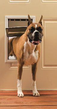 Freedom Aluminum Pet Door - Large