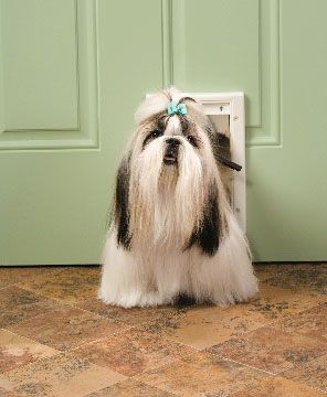 Freedom Plastic Pet Door - Small