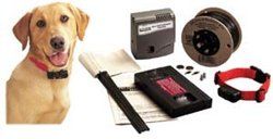 Radio Fence - Standard