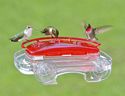 Jewel Box Window Hummingbird Feeder