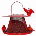 Red Cardinal Feeder