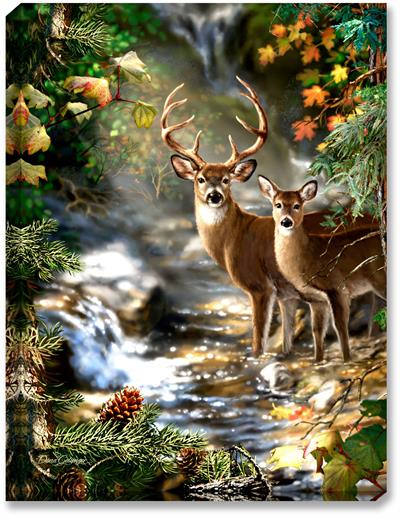 A fall 4 point buck stands along side his doe, in front of a mountain creek, with fall foliage and leaves.