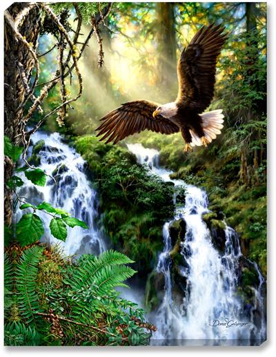 A majestic American Bald Eagle soars above a sunlight mountain or hillside waterfall and creek. Ferns, moss, and evergreens add a brilliant green backdrop to the eagle.