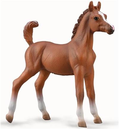 Though most Arabians have a natural tendency to cooperate with humans, when treated badly, they can become excessively nervous or anxious.