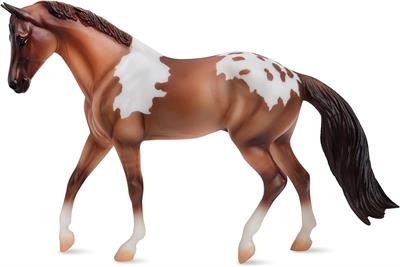 A cross between a Pinto and an Appaloosa, the Pintaloosa can have a uniquely-patterned coat!