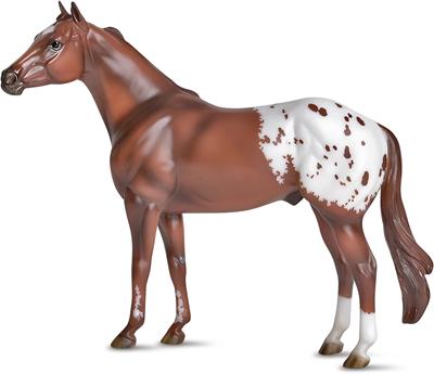 Orren Mixer’s famed painting “The Appaloosa,” was commissioned by the ApHC and was publicly unveiled in 1981. It prominently features a handsome chestnut blanket Appaloosa stallion, whose image can still be seen today on the ApHC’s promotional materials.