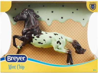 Get the scoop on Mint Chip, the sweetest horse in the barn!