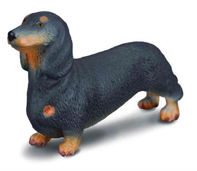 The 1.8''L x 1.2''H Dachshund is just one of the many beautifully sculpted pieces in CollectA's Cats and Dogs Collection. Originally bred to hunt badgers, the Dachshund's long, low build makes it perfect for hunting animals in burrows.