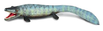  Fossils also show that the Tylosaurus had scaly skin. One Tylosaurus skeleton measures 34 feet in length. This beautifully sculpted, collectible figure from our Prehistoric Life Collection measurs 7.5''L x 1.2''H. Tylosaurus means "Swollen Lizard". Tylos