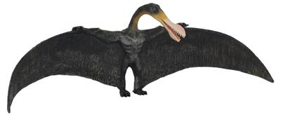 CollectA's finely detailed replica of Ornithocheirus is lifelike down to its individual ribs and the texture of its wings. First discovered in England, this creature's name means ''bird hand.'' It had a wing span of about 8.2 feet and lived during the lat