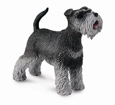 Schnauzers have a double coat. The top or guard coat is wiry, while the undercoat is soft. This figurine measures 2.25" x 1.69".