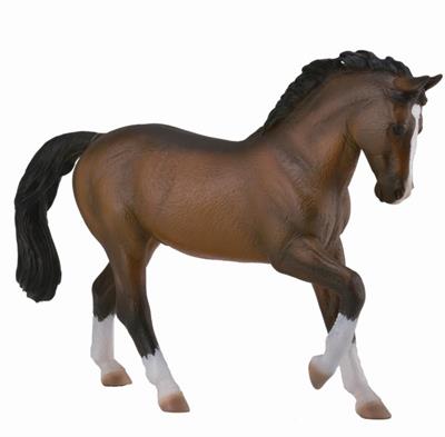 Warm blooded horses are popular in sporting events such as dressage, and many European breeders are breeding warmbloods for competition.