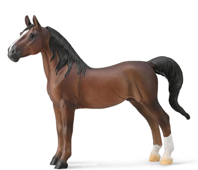 Saddlebreds are known for their sense of presence and style, as well as for their spirited, yet gentle, temperament. Perhaps the breed’s most distinguishing trait is its ingenuity.