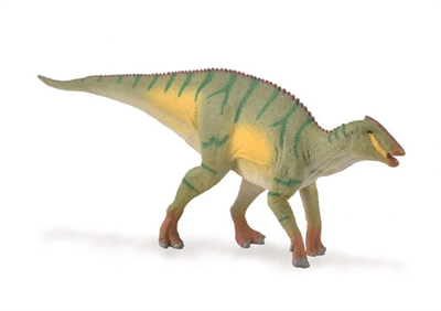 The Kamuysaurus was recently discovered in Japan (2019). It is an herbivorous animal from the Upper Cretaceous period. It grew to around 26 feet in length.