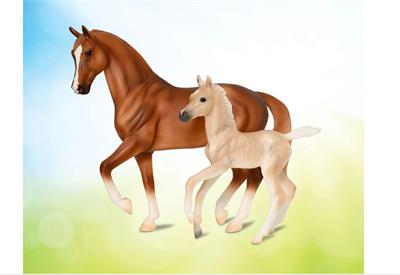 Warmbloods are a group of middle-weight sporthorses known for their graceful movements and elegant body types. Originating primarily in Europe, Warmblood breeds are prized for their ability to excel in equestrian sports. The most popular sports for Warmbl