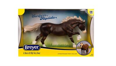 Foaled in 2009, Surfer’s Riptide is a flaxen chestnut stallion with flashy white markings – just like his late sire, Surfer Dude. Riptide was a “buyback” foal, meaning he was auctioned with the stipulation that he was to be donated back to the herd.