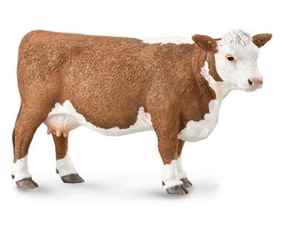 Collect A's #88860 Hereford Cow figurine measures 4.9" L x 2.4" H. 1:18 Scale. The Hereford is a British breed of beef cattle that originated in the county of Herefordshire, England. The breed was first exported from the United Kingdom in 1817, initially 