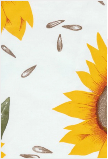 Sunflower on White Oil Cloth, Full Bolt