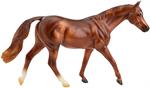 Coppery Chestnut Thoroughbred is the most popular breed of racehorse, the swift Thoroughbred has fans around the world. Horse measures approximately 9.75