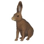 Woodlands brown hare measures 1.8
