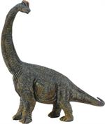 With front legs that were longer than its back legs, the Brachiosaurus stood about 50 feet tall, perfect for foraging among the tree tops. This well-known dinosaur lived during the Jurassic period, 156 - 145 million years ago. Each prehistoric figure in t