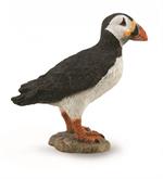 Puffins are a type of pelagic seabird that feed primarily by diving in the water. They have a brightly coloured orange-red large beak; it is their most obvious identifying feature.