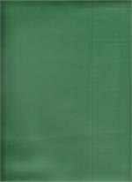 Oil Cloth Green Chalk Cloth, yardage