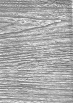 Faux Bois Ash Wood Grain Oil Cloth, Full Bolt