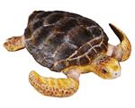CollectA's realistic loggerhead turtle figurine measures 2.76 in L x 2.56 in W x 0.79 in H. Ages 3+ | 1:18 Scale