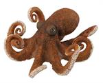 The octopus is a soft-bodied, eight-limbed mollusc; around 300 species are recognised. Like other cephalopods, the octopus is bilaterally symmetric with two eyes and a beak, with its mouth at the center point of the eight limbs. 