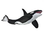 The heart beats at a rate of about 60 beats/min when the orca is at the surface, dropping to 30 beats/min when submerged.  CollectA's realistic Orca figurine measures 8.1